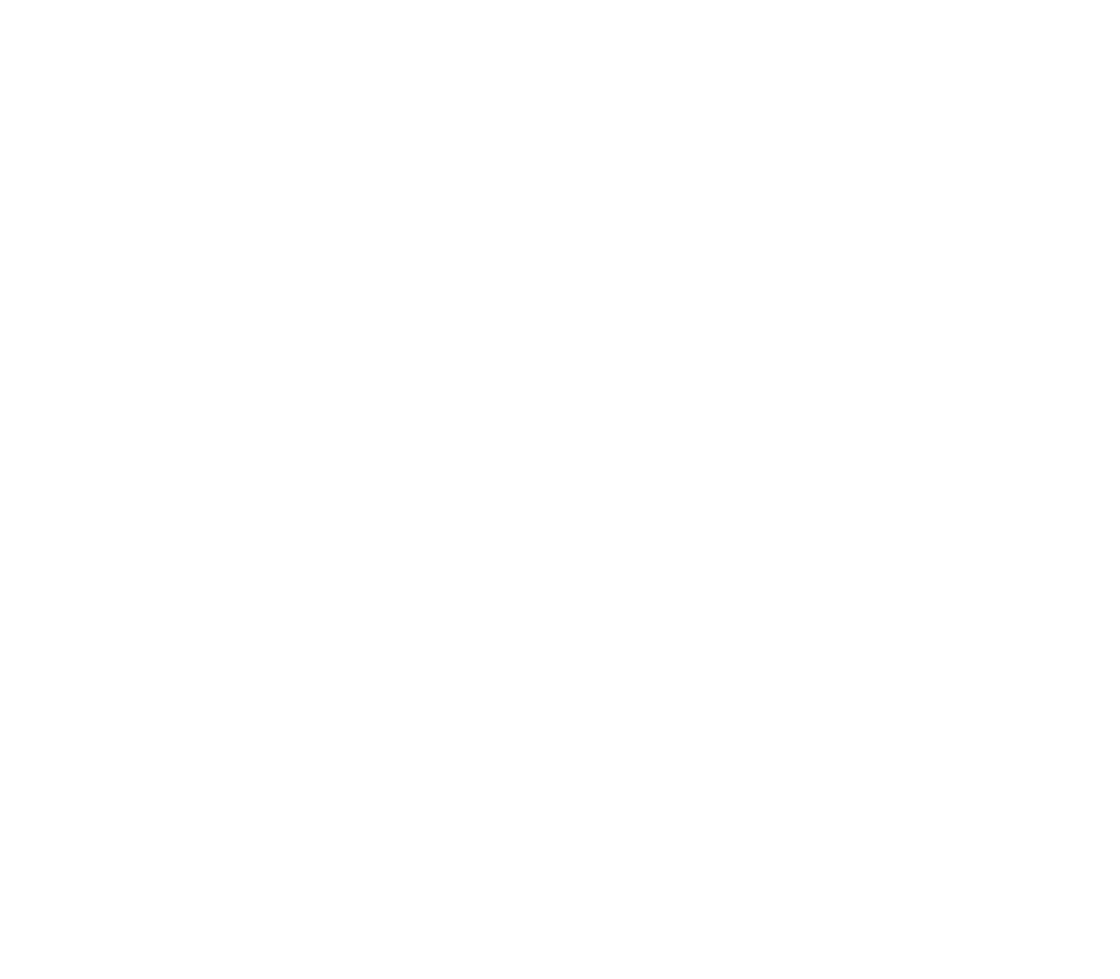 BINUS 45